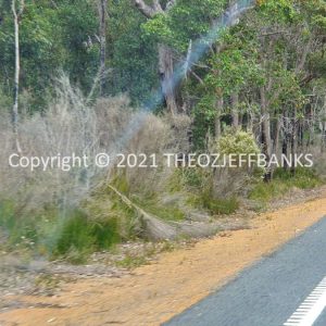 ROzCh79-271 | Travelling Around Australia with Jeff Banks