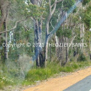 ROzCh79-272 | Travelling Around Australia with Jeff Banks