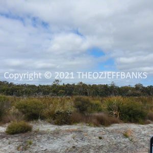ROzCh79-278 | Travelling Around Australia with Jeff Banks