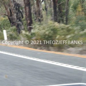 ROzCh79-279 | Travelling Around Australia with Jeff Banks