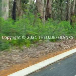 ROzCh79-280 | Travelling Around Australia with Jeff Banks