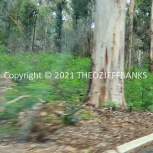 ROzCh79-281 | Travelling Around Australia with Jeff Banks