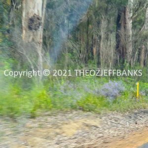 ROzCh79-283 | Travelling Around Australia with Jeff Banks