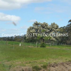 ROzCh79-284 | Travelling Around Australia with Jeff Banks