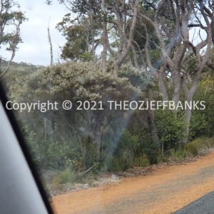 ROzCh79-287 | Travelling Around Australia with Jeff Banks
