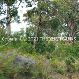 ROzCh79-291 | Travelling Around Australia with Jeff Banks