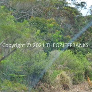 ROzCh79-298 | Travelling Around Australia with Jeff Banks