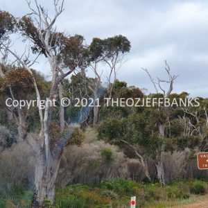 ROzCh79-304 | Travelling Around Australia with Jeff Banks