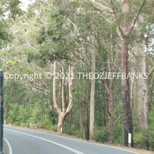 ROzCh79-308 | Travelling Around Australia with Jeff Banks