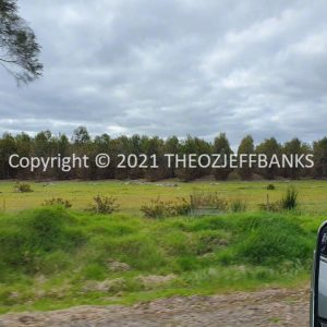 ROzCh79-313 | Travelling Around Australia with Jeff Banks