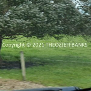 ROzCh79-315 | Travelling Around Australia with Jeff Banks