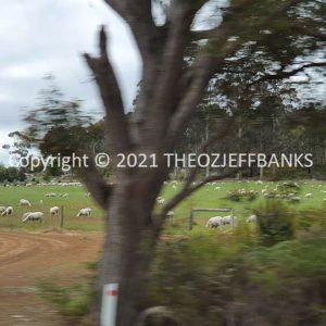 ROzCh79-319 | Travelling Around Australia with Jeff Banks