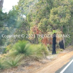 ROzCh79-32 | Travelling Around Australia with Jeff Banks