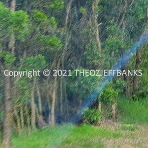 ROzCh79-337 | Travelling Around Australia with Jeff Banks