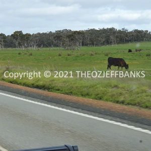 ROzCh79-341 | Travelling Around Australia with Jeff Banks