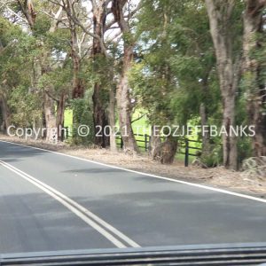 ROzCh79-46 | Travelling Around Australia with Jeff Banks