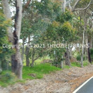 ROzCh79-47 | Travelling Around Australia with Jeff Banks