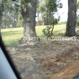ROzCh79-49 | Travelling Around Australia with Jeff Banks