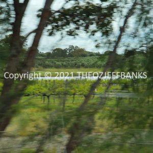 ROzCh79-74 | Travelling Around Australia with Jeff Banks