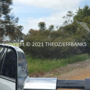 ROzCh79-81 | Travelling Around Australia with Jeff Banks