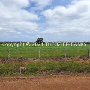 ROzCh79-92 | Travelling Around Australia with Jeff Banks