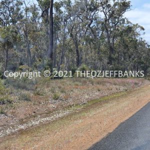 ROzCh79-95 | Travelling Around Australia with Jeff Banks