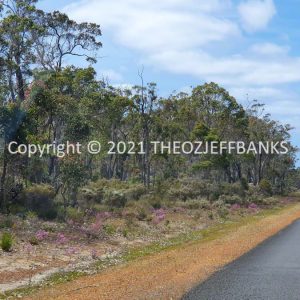 ROzCh79-96 | Travelling Around Australia with Jeff Banks