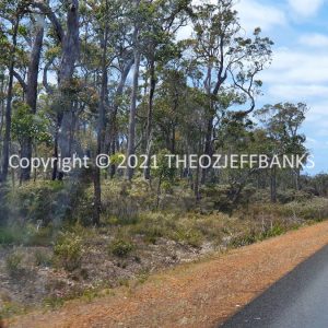 ROzCh79-97 | Travelling Around Australia with Jeff Banks