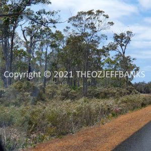 ROzCh79-98 | Travelling Around Australia with Jeff Banks