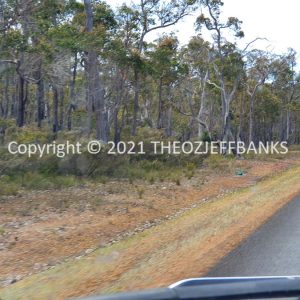 ROzCh79-99 | Travelling Around Australia with Jeff Banks
