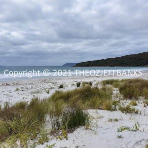 ROzCh80-02
