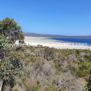 ROzCh80-113 | Travelling Around Australia with Jeff Banks