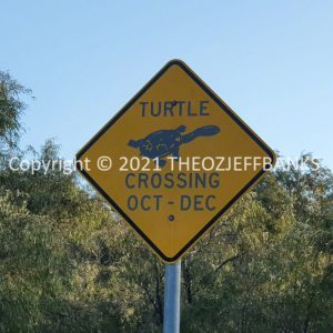 ROzCh80-342 | Travelling Around Australia with Jeff Banks