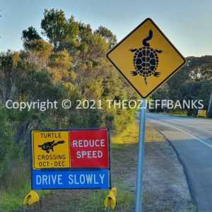 ROzCh80-343 | Travelling Around Australia with Jeff Banks