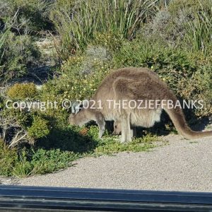 ROzCh82-112 | Travelling Around Australia with Jeff Banks