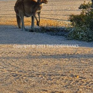 ROzCh82-114 | Travelling Around Australia with Jeff Banks
