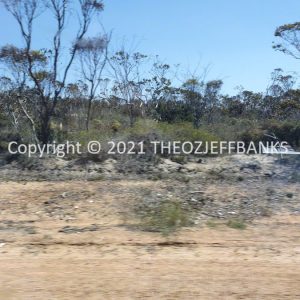 ROzCh82-37 | Travelling Around Australia with Jeff Banks