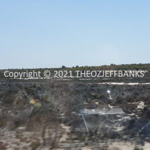 ROzCh82-45 | Travelling Around Australia with Jeff Banks
