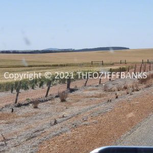 ROzCh82-52 | Travelling Around Australia with Jeff Banks