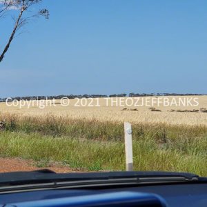 ROzCh82-59 | Travelling Around Australia with Jeff Banks
