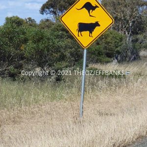 ROzCh82-66 | Travelling Around Australia with Jeff Banks