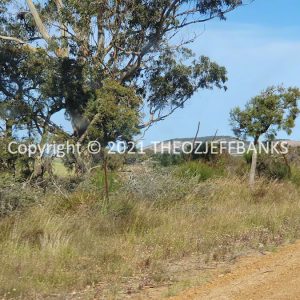 ROzCh82-87 | Travelling Around Australia with Jeff Banks