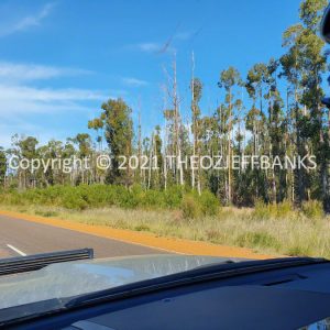 ROzCh82-93 | Travelling Around Australia with Jeff Banks