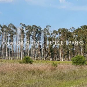 ROzCh82-96C | Travelling Around Australia with Jeff Banks