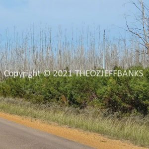 ROzCh82-97 | Travelling Around Australia with Jeff Banks