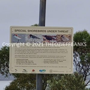 ROzCh83-105 | Travelling Around Australia with Jeff Banks