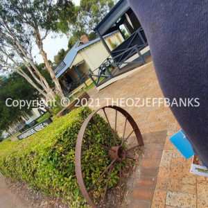 ROzCh83-24
