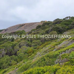 ROzCh83-77 | Travelling Around Australia with Jeff Banks
