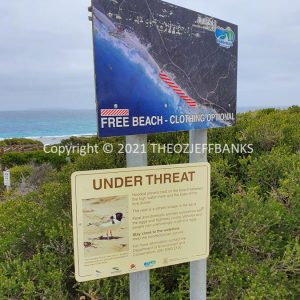 ROzCh83-97 | Travelling Around Australia with Jeff Banks