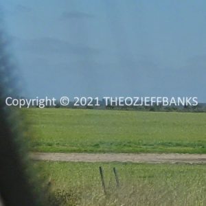 ROzCh84-04